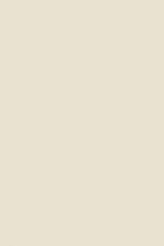 FARROW AND BALL SKIMMING STONE NO. 241 PAINT